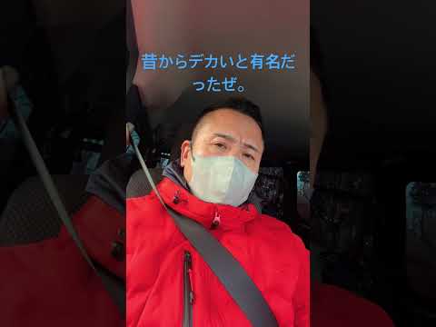 羽賀研二64歳にして猥褻とは⁉️ #チャイニーズドラゴン #羽賀研二#わいせつじけん サムネイル