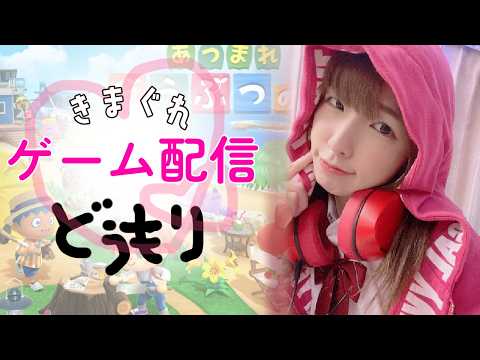 【どうぶつの森】ゲーム配信 サムネイル